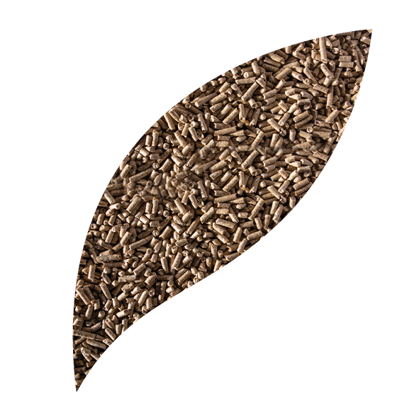 NUTRIPOLLO CRECIMIENTO - Imagen 2