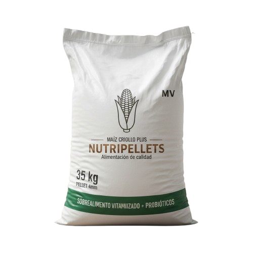 Maíz Criollo Plus (Vitaminizado + Probiótico)